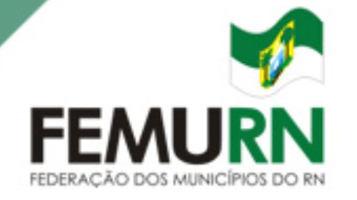 Diário da Femurn